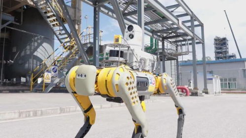 红色电信展风采 数智赋能贵州释放“黔”进力量——索道设计中的科技革新