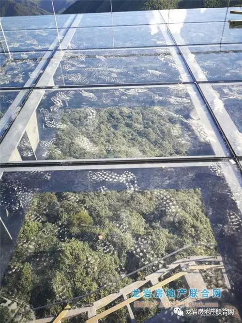 龙岩玻璃栈道与索道设计 年底即将惊艳亮相